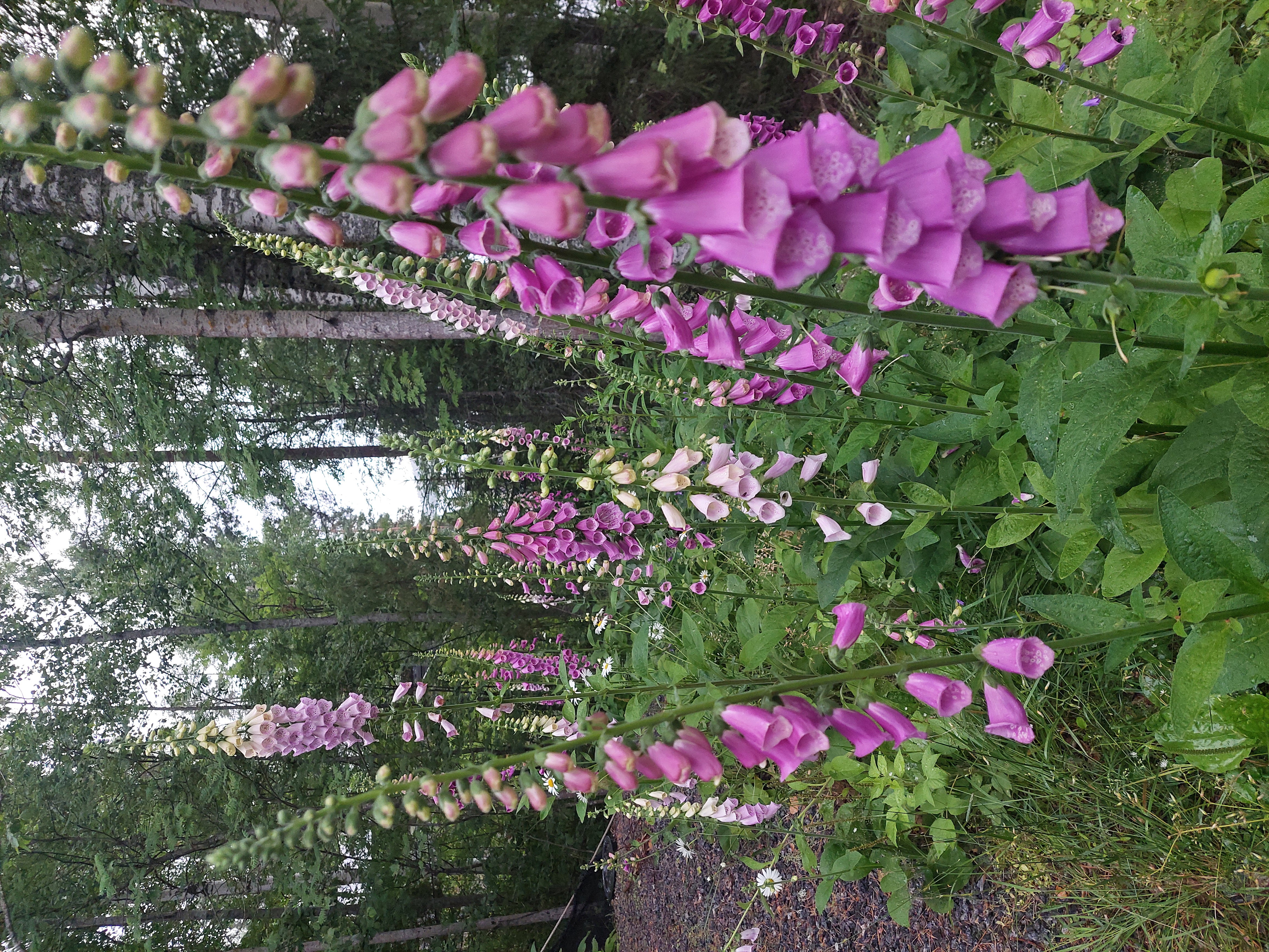 Yksilöllisiä lahjatuotteita